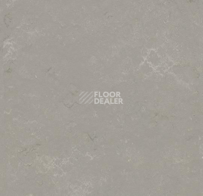 Кварцвиниловые полы Marmoleum Modular t3718 Pluto фото 1 | FLOORDEALER